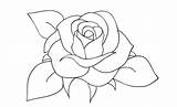 Bunga Sketsa Mawar Beragam sketch template