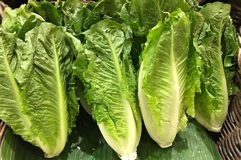 source of bad romaine lettuce containment still unknown fda