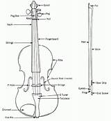 Violin Parts Bow Diagram Music Name Basics Strings Suzuki Lessons Violins Kids History Choose Board Gif Barber Jason Carnatic Information sketch template