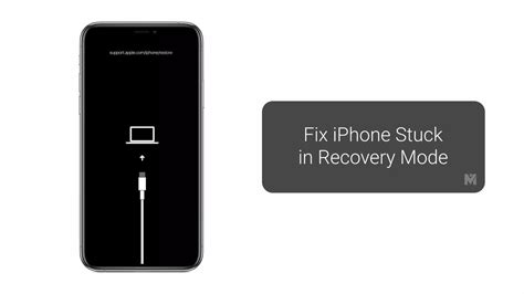 Iphone Stuck In Recovery Mode Check Out The Ways To Get Your Iphone