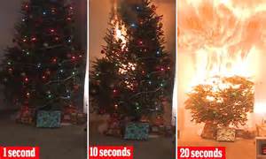 u s consumer product safety commission s video shows christmas tree fire dangers daily mail