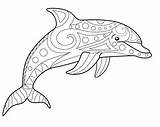 Dolphin Antistress Bottlenose Linear sketch template