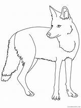 Coyote Coloring4free 1215 sketch template