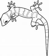 Gecko Lizard Soparla Colorat Mewarnai Cicak Desene Lagartijas Amfibieni Leopard Colouring Colorear Monitor Soparle Planse Animale Lagartija Print Clipartmag Aboriginal sketch template