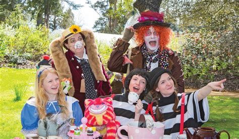 Mad Hatter S Tea Party Experience Bedfordshire