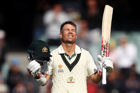 david warner  history  opinion remains divided   controversial australian cricketer