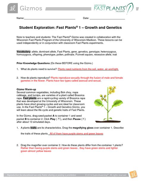 solution bio  fast plants  growth  geneticsgizmos  student