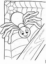 Aranhas Bruxas Atividades Aranha Critters Spiders Kooky Imprima sketch template