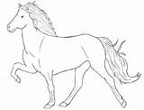 Horse Iceland Coloring Pages Icelandic Baby Deviantart Draw Colouring Getcolorings Horses Fascinating Island Visit Choose Board Hor sketch template