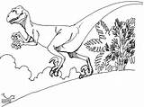 Deinonychus Dinosaurios Pintar Carnivore Omnivore Herbivore Dinossauros sketch template