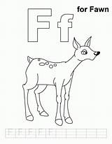 Coloring Fawn Pages Handwriting Practice Popular Library Clipart Coloringhome sketch template