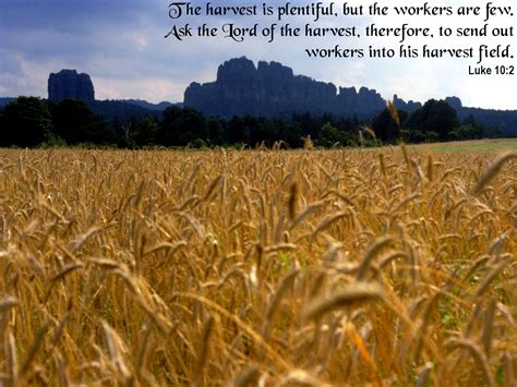 harvest quotes from bible quotesgram