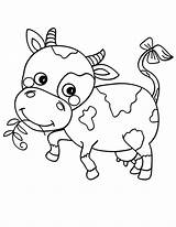 Cow Coloring Pages Cute Dairy Little Cows Eating Coloring4free Tail Bow Grass Color Baby Kids Printable Netart Getcolorings Template Book sketch template