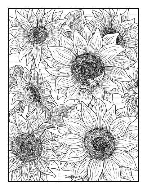 sunflowers     printable instant  coloring page