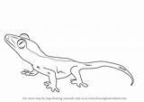 Gecko Draw Crested Drawing Reptiles Step Animals Tutorials Drawingtutorials101 sketch template