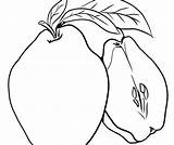 Quince Coloring sketch template