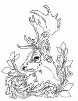 Dear Colouring Stag Waldtiere Malvorlagen Venados Tiere Hunting Zeichnen Venado sketch template