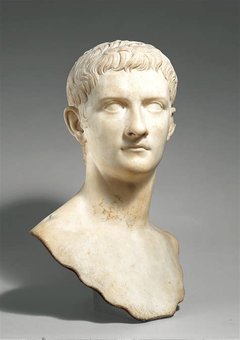 marble portrait bust   emperor gaius   caligula   borrow