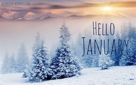 january winter desktop wallpapers top  january winter desktop