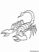 Scorpion Coloring Pages Colouring Print Crayfish Color Getdrawings Clip Mortal Kombat Pasta Escolha sketch template