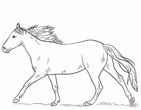 horse coloring page colouring pages  preschoolers  printable