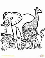 Coloring Pages Mammal Color Getcolorings Strange Printable Sheets sketch template