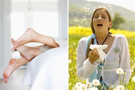 Hay Fever Cure Sufferers Should Have Sex To Reduce
