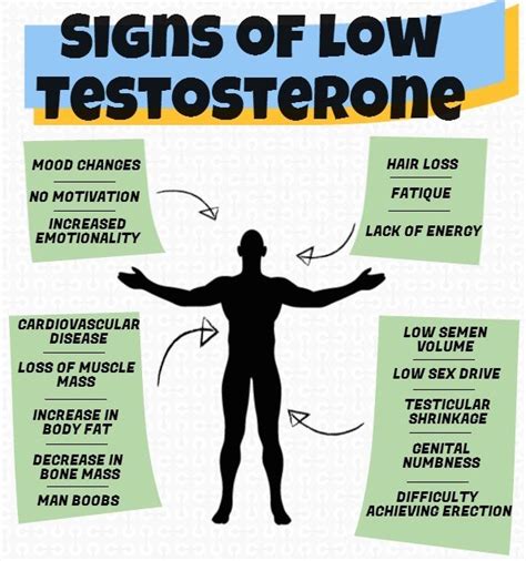 how to increase your testosterone naturally part 1 the