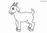 Granja Ziegenbock Farm Bauernhof Ziege Ausmalbild Ausmalen Bauernhoftiere Lachender Kuh Colomio Malvorlage Glocke Goats sketch template