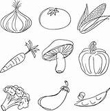 Vegetables Drawing Vegetable Fruits Drawings Doodles Sketch Line Kids Sketches Doodle Illustration Variety Clipart Fruit Collection Illustrations Bullet Journal Food sketch template