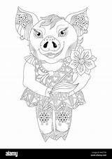 Zentangle Haustiere Wirrwarr Schwein Ferkel Malbuch sketch template