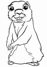 Gopher Coloring Pages Animal sketch template