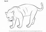 Panther Drawing Draw Animals Step Line Drawings Wild Cartoon Schwarzer Animal Zeichnen Sketches Drawn Zeichnung Learn Panthers Pencil Zum Tutorial sketch template