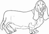 Hound Coloring Dog Basset Pages Draw Getcolorings Color Print Drawing Choose Board Dragoart Step Printable sketch template