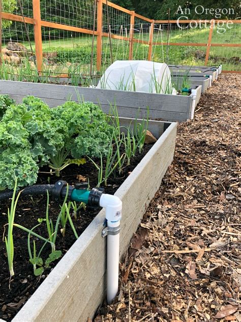 diy garden watering system easy inexpensive printable supplies list  oregon cottage