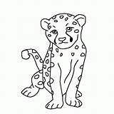 Cheetah Coloring Baby Pages Cute Cub Drawing Kids Printable Face Print Color Draw Getdrawings Animals Netart Popular Getcolorings Coloringhome sketch template