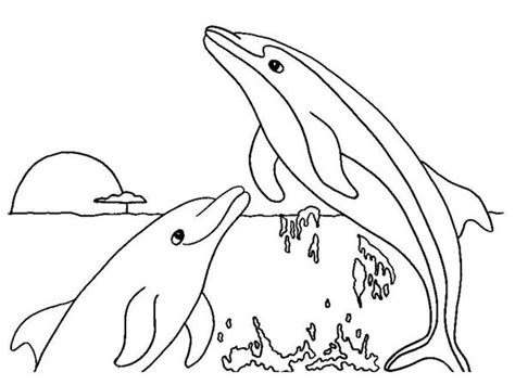 coloring pages dolphins jumping richard fernandezs coloring pages