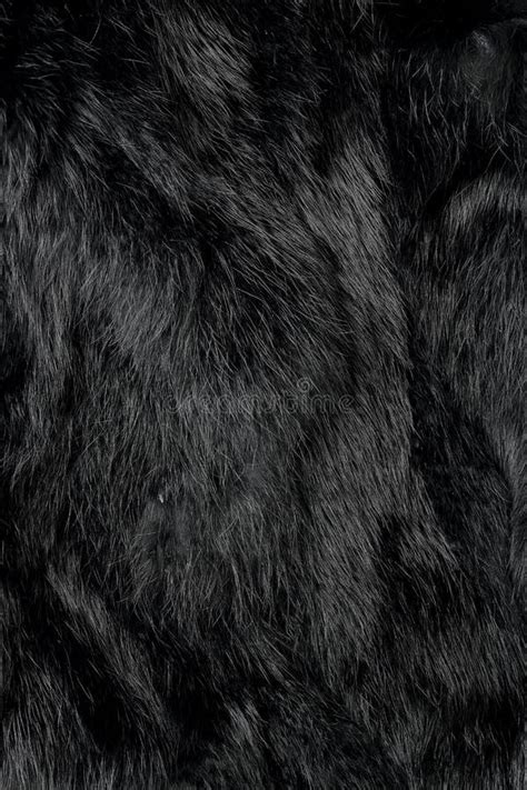 black fur stock photo image  abstract background