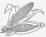 Cob Colouring Party Toy Stalk Webstockreview sketch template