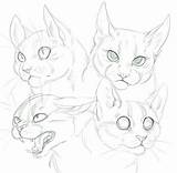 Cat Drawing Deviantart Anatomy Doodles Shade Drawings Animal Sketches Reference Poses Draw Sketch Tutorial Animals Animales Cats Doodle Gato Como sketch template