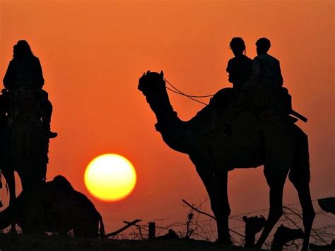 muslim scholar wives must have sex even on camels