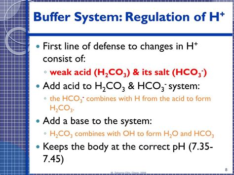 blood gases ph  buffer system powerpoint  id
