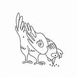 Pecking Coloring Outline Seeds Chicken Illustrations Birds Clipart Stock Book Vectors Dreamstime sketch template