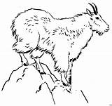 Gipfel Bock Tiere sketch template