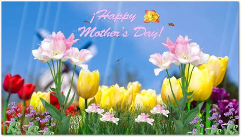 Download Happy Mothers Day Screensaver 1 0
