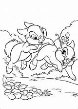 Bunnies Colorir Colorat Desenhos Iepurasi Animale Ausmalbilder P46 Planse Coloriez Mewarnai Malvorlagen Coloriages Primiiani Taman Choisis Tes Colorido Marques Filomena sketch template