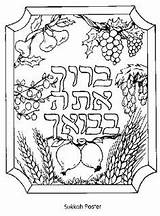 Sukkot Barley Sukkah Etrog Lulav Familyholiday Feast Tabernacles Designlooter Menorah Torah sketch template