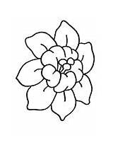 Coloring Flowers Pages Flower Fancy sketch template