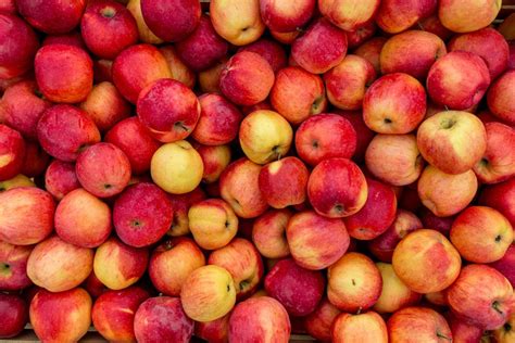 guide  common types  apples      taste  home