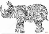 Ausmalbilder Zentangle Rhino Nashorn Ausmalbild sketch template